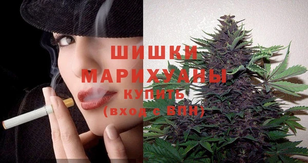 винт Бронницы
