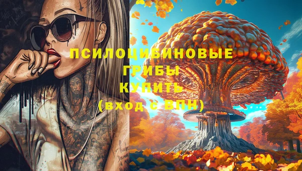 винт Бронницы