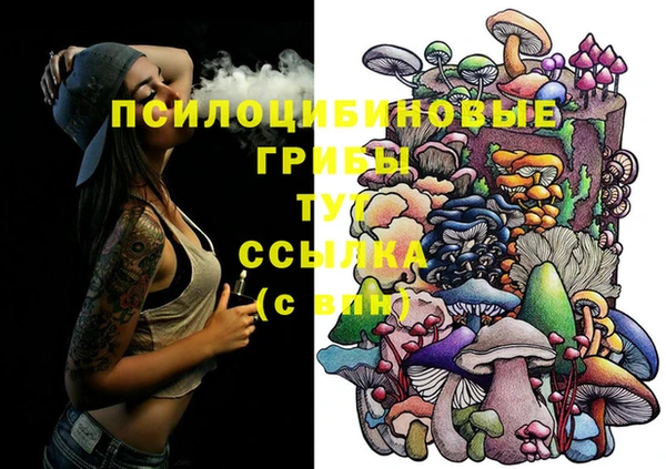 mix Бородино